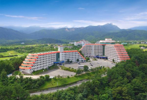 Sokcho